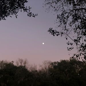 Meet your Posher, Irene